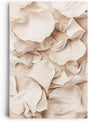 Paul Sinus 60x90cm Wandbild Rosenblätter in Beige – Sanfte Natürlichkeit mit floraler Detailkraft Blume