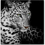 Paul Sinus Art Leinwandbilder | Bilder Leinwand 60x60cm Portrait eines liegenden Leoparden schwarzweiß