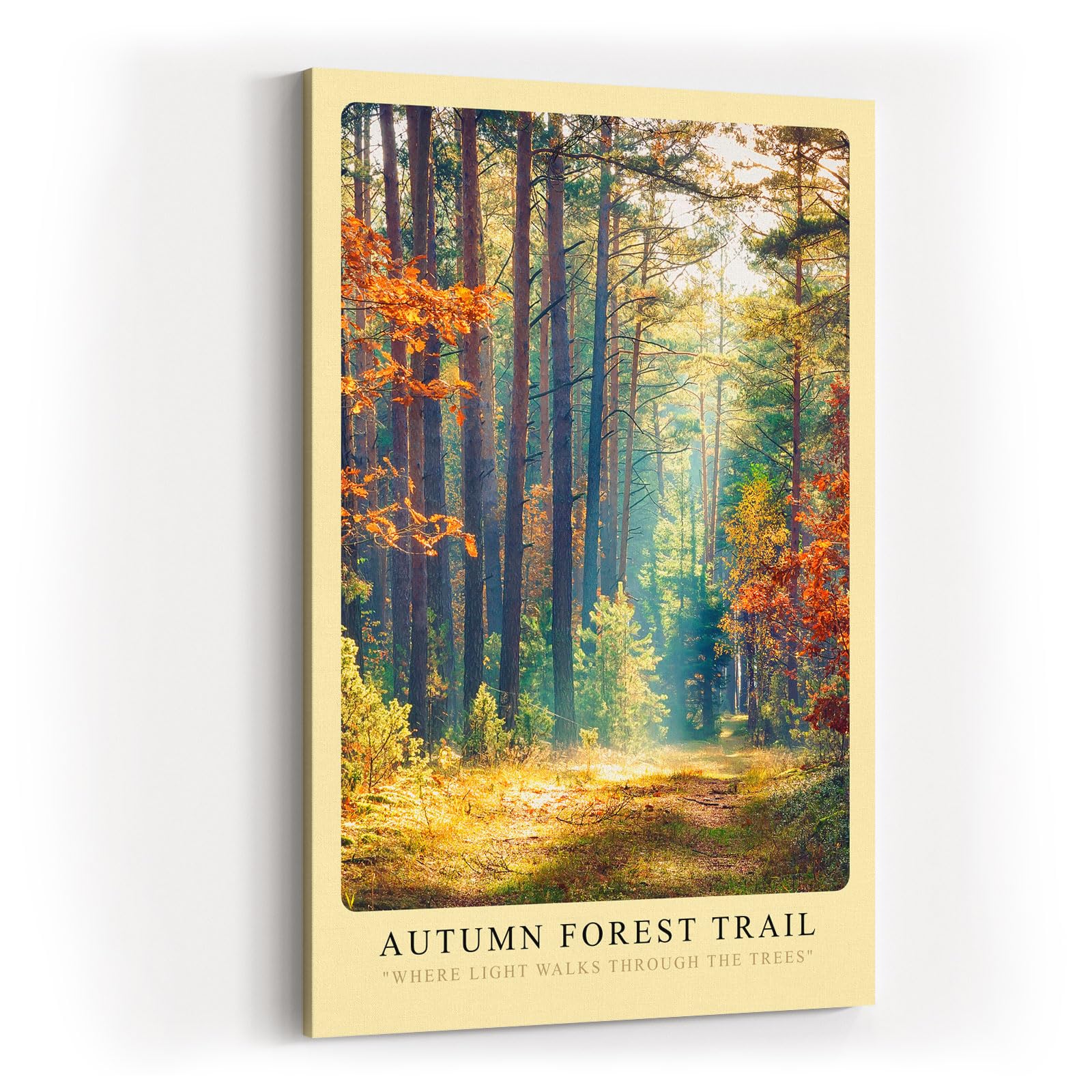 Paul Sinus Kunstdruck 40x60cm Autumn Forest Trail Wald Herbst Lichtstimmung Bäume Naturweg Farbenspiel