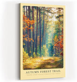 Paul Sinus Kunstdruck 40x60cm Autumn Forest Trail Wald Herbst Lichtstimmung Bäume Naturweg Farbenspiel