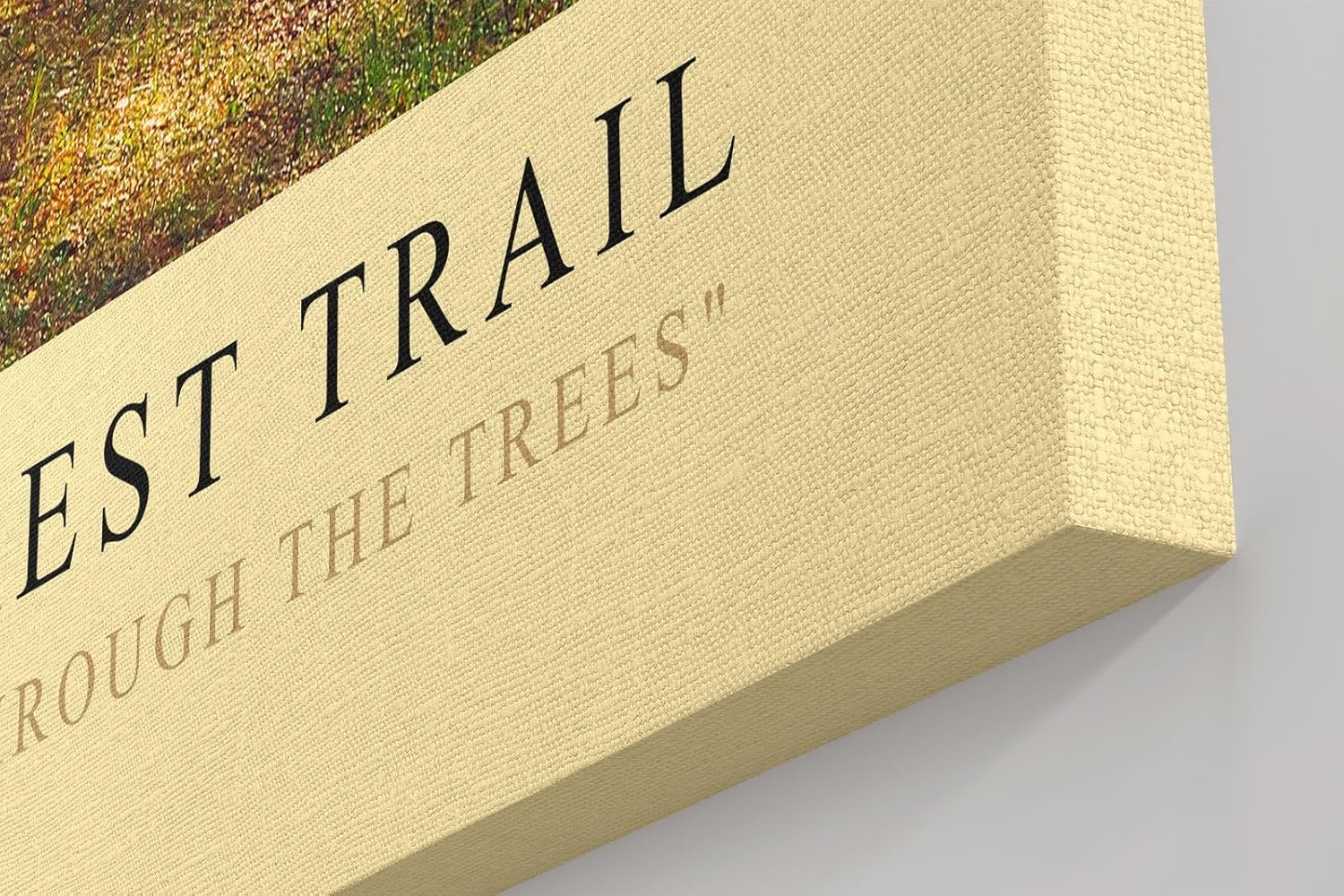 Paul Sinus Kunstdruck 40x60cm Autumn Forest Trail Wald Herbst Lichtstimmung Bäume Naturweg Farbenspiel