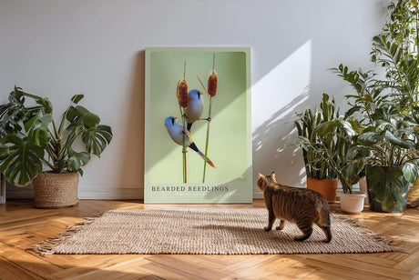 Paul Sinus Kunstdruck 40x60cm Bartmeisen auf Schilfrohr – natürliche Harmonie in zarter Komposition