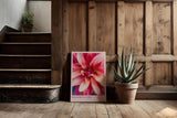 Paul Sinus Kunstdruck 40x60cm Blooming Fire mit feuriger Blüte in intensiven Rottönen