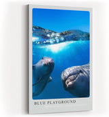 Paul Sinus Kunstdruck 40x60cm Blue Playground Delfine im klaren Ozean unter Wasser und Sonnenlicht