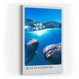 Paul Sinus Kunstdruck 40x60cm Blue Playground Delfine im klaren Ozean unter Wasser und Sonnenlicht