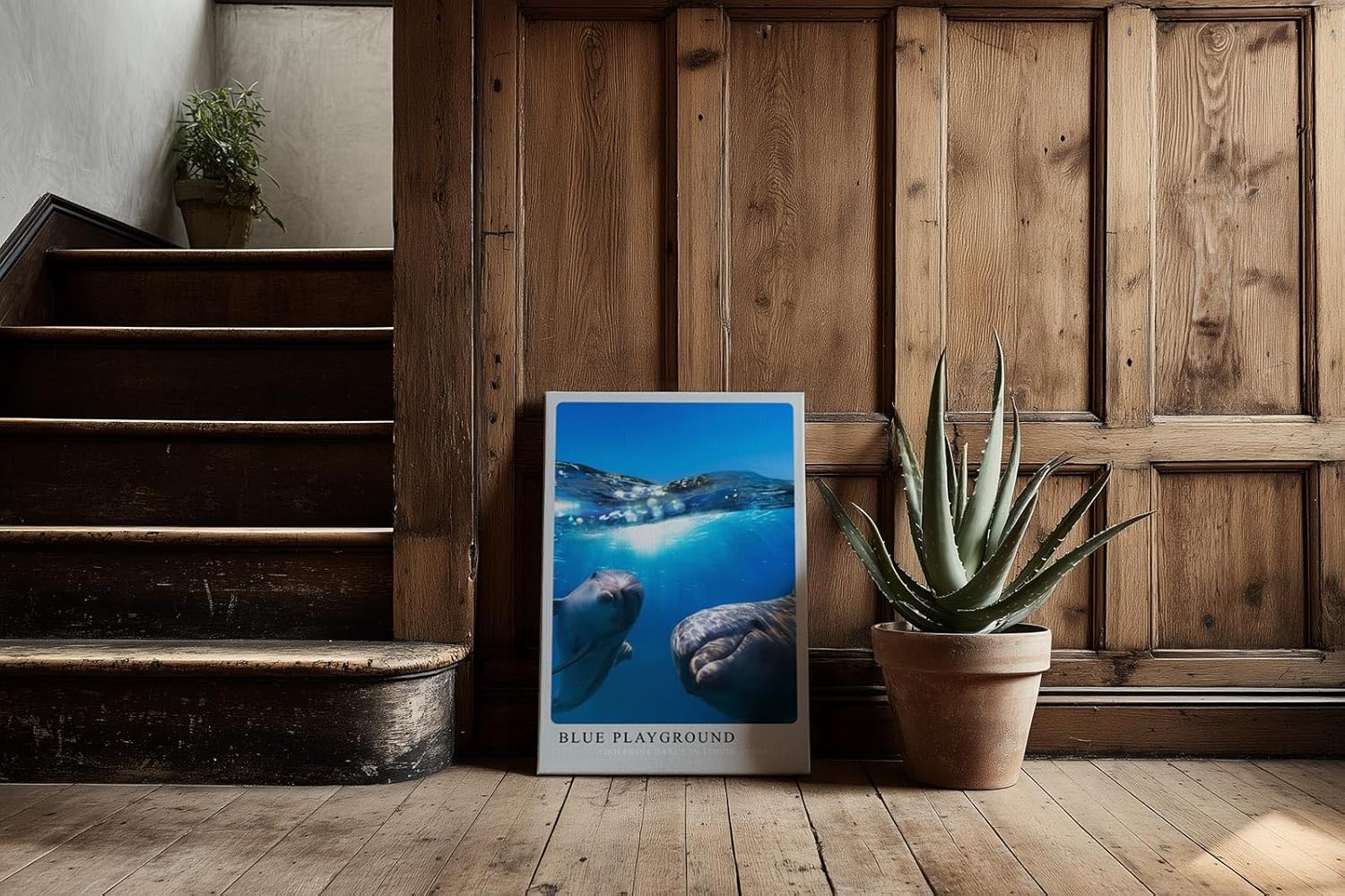 Paul Sinus Kunstdruck 40x60cm Blue Playground Delfine im klaren Ozean unter Wasser und Sonnenlicht