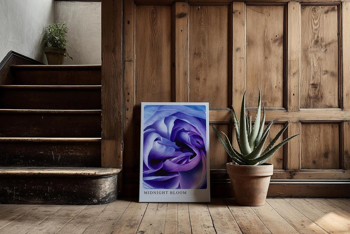 Paul Sinus Kunstdruck 40x60cm Blume Makro Blau Lila Rose Dunkelheit Lichtspiel Midnight Bloom