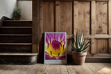 Paul Sinus Kunstdruck 40x60cm Blume Makro Gelb Pink Lila Lotus Blüte Solar Nectar