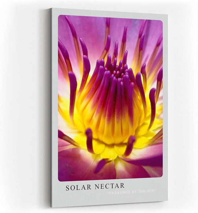 Paul Sinus Kunstdruck 40x60cm Blume Makro Gelb Pink Lila Lotus Blüte Solar Nectar