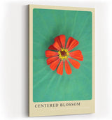 Paul Sinus Kunstdruck 40x60cm Blume Makro Lotus Balance grün rot Centered Blossom