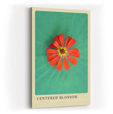 Paul Sinus Kunstdruck 40x60cm Blume Makro Lotus Balance grün rot Centered Blossom