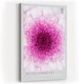 Paul Sinus Kunstdruck 40x60cm Blush Symmetry Rosafarbene Blüte in perfekter Anordnung Perfection in Pink Petals