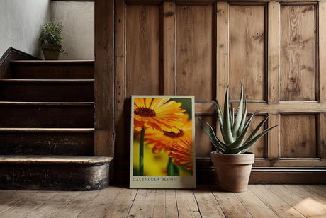 Paul Sinus Kunstdruck 40x60cm Calendula Bloom – leuchtend orange Ringelblumenblüte in Nahaufnahme