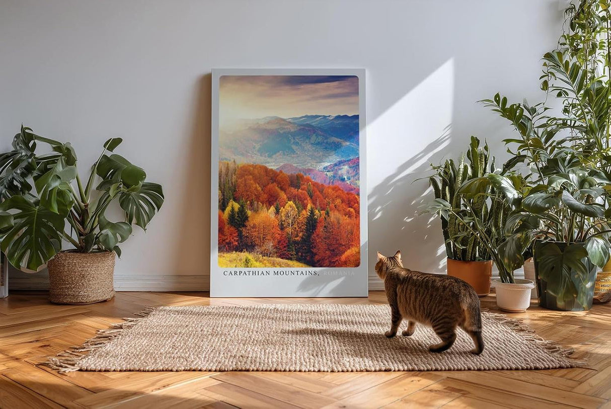 Paul Sinus Kunstdruck 40x60cm Carpathian Mountains im Herbst – Farbenprächtige Waldlandschaft aus Rumänien