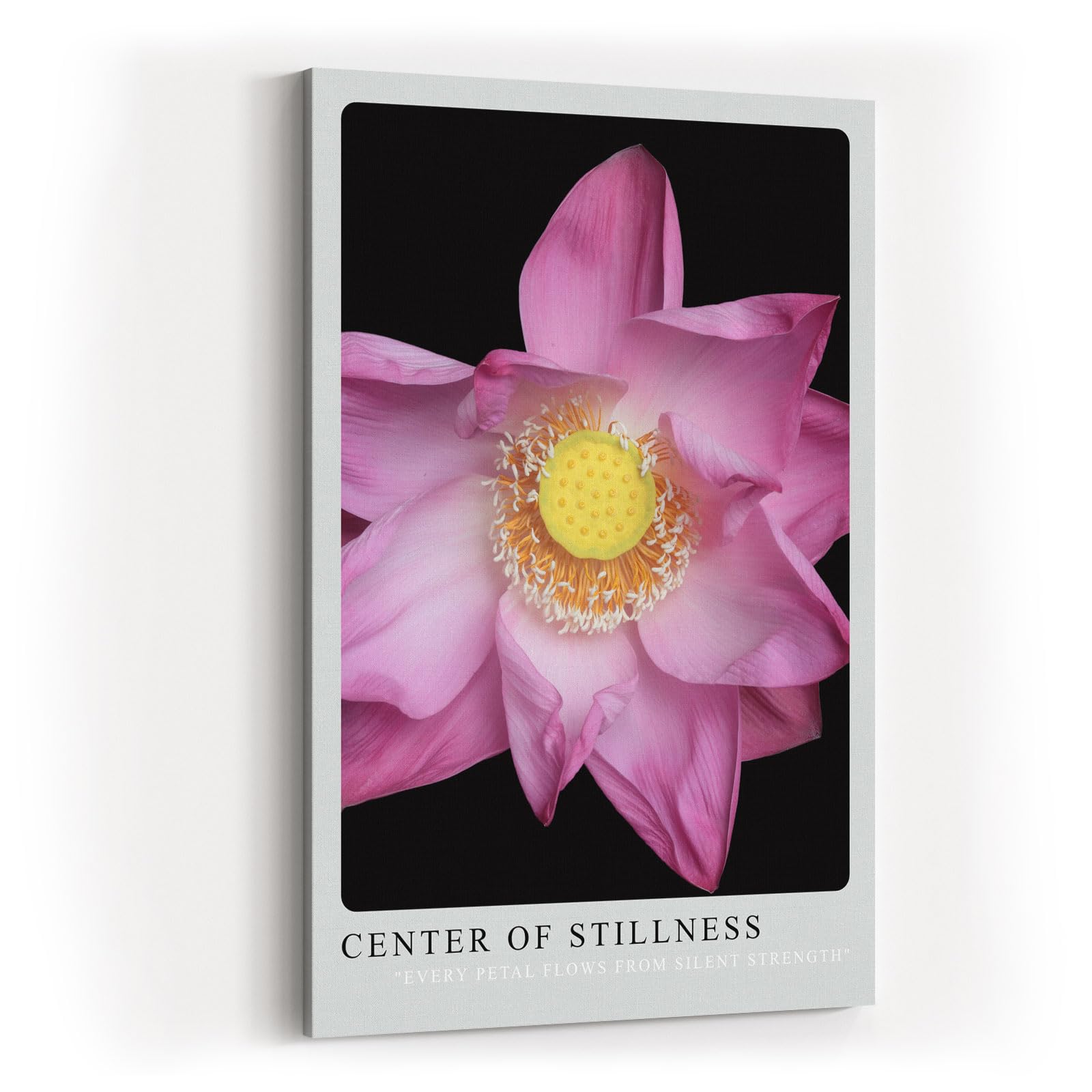 Paul Sinus Kunstdruck 40x60cm Center of Stillness Lotusblüte in zartem Rosa mit gelber Mitte