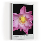 Paul Sinus Kunstdruck 40x60cm Center of Stillness Lotusblüte in zartem Rosa mit gelber Mitte