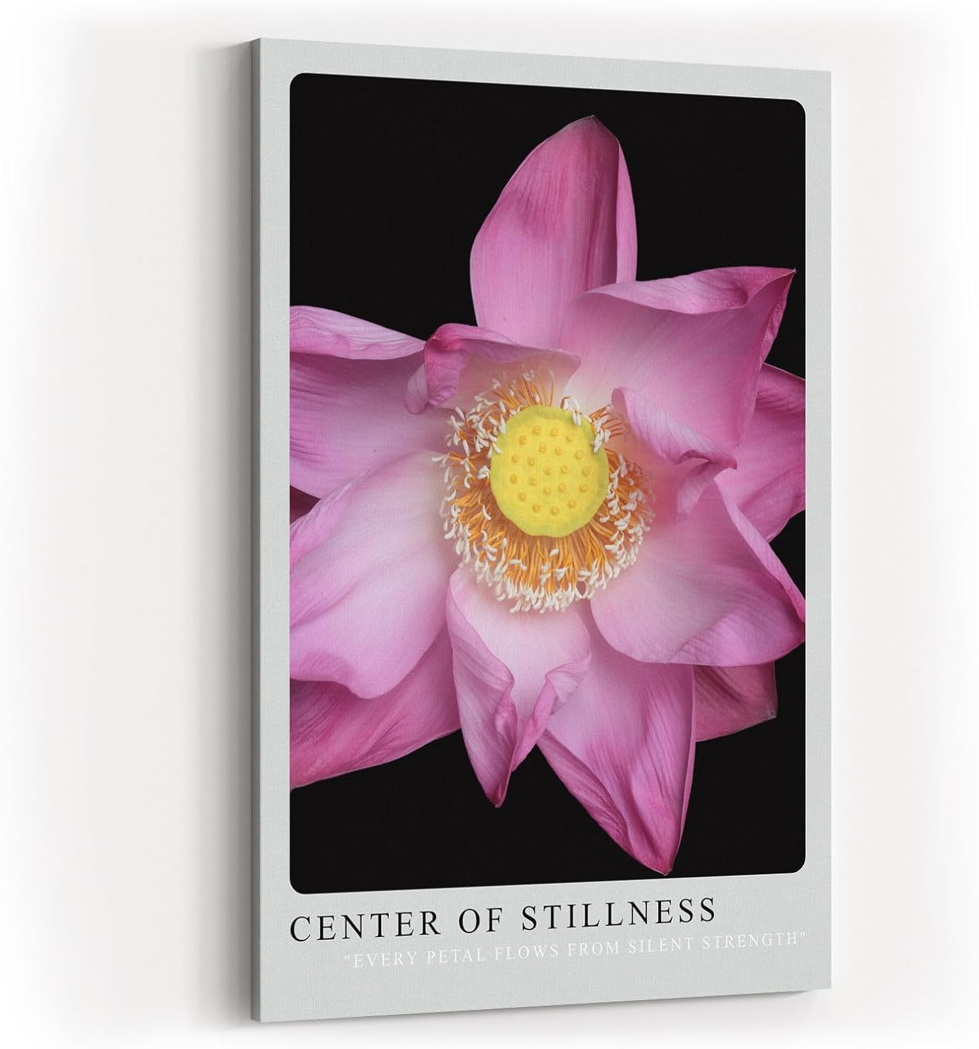 Paul Sinus Kunstdruck 40x60cm Center of Stillness Lotusblüte in zartem Rosa mit gelber Mitte