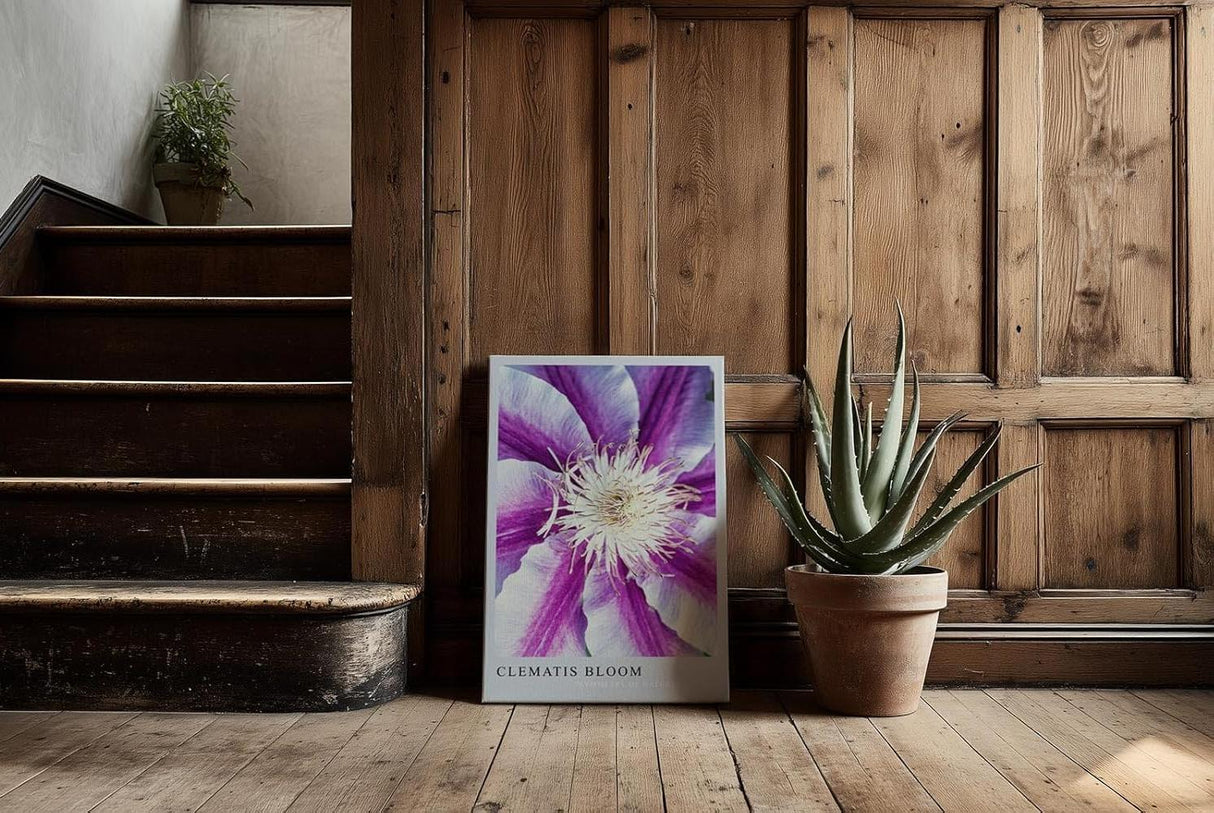 Paul Sinus Kunstdruck 40x60cm Clematis Bloom – violett-weiße Blüte in symmetrischer Komposition mit Fokus auf Zentrum