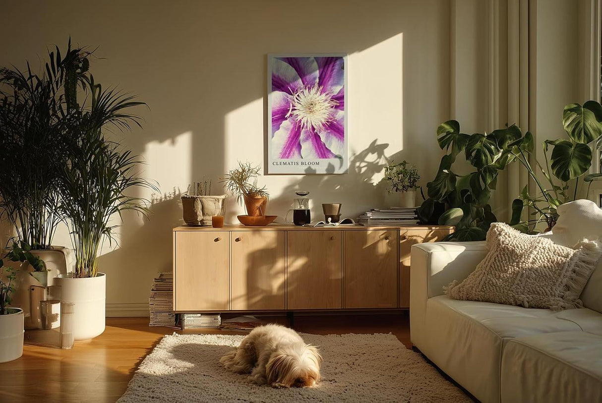 Paul Sinus Kunstdruck 40x60cm Clematis Bloom – violett-weiße Blüte in symmetrischer Komposition mit Fokus auf Zentrum