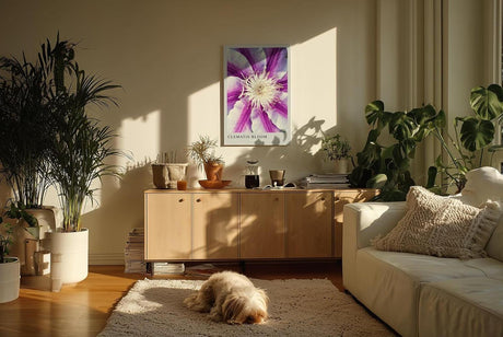 Paul Sinus Kunstdruck 40x60cm Clematis Bloom – violett-weiße Blüte in symmetrischer Komposition mit Fokus auf Zentrum
