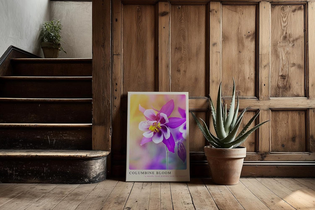 Paul Sinus Kunstdruck 40x60cm Columbine Bloom Nahaufnahme einer Akeleiblüte in zarten Farben mit Pastellhintergrund