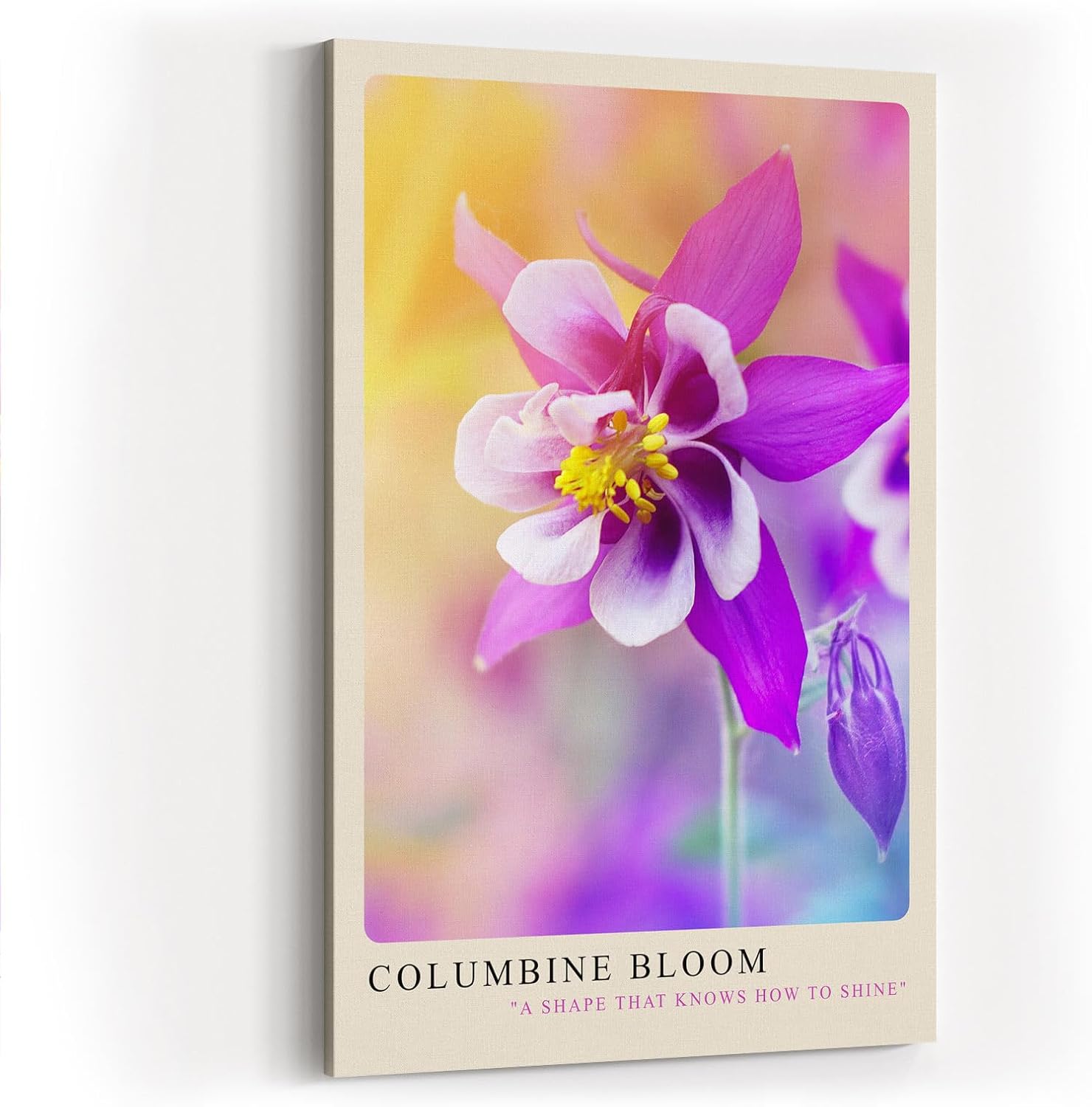 Paul Sinus Kunstdruck 40x60cm Columbine Bloom Nahaufnahme einer Akeleiblüte in zarten Farben mit Pastellhintergrund