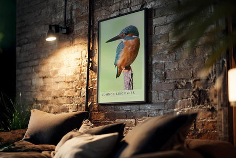 Paul Sinus Kunstdruck 40x60cm Common Kingfisher – Eisvogel auf Ast in brillanter Nahaufnahme mit leuchtenden Farben