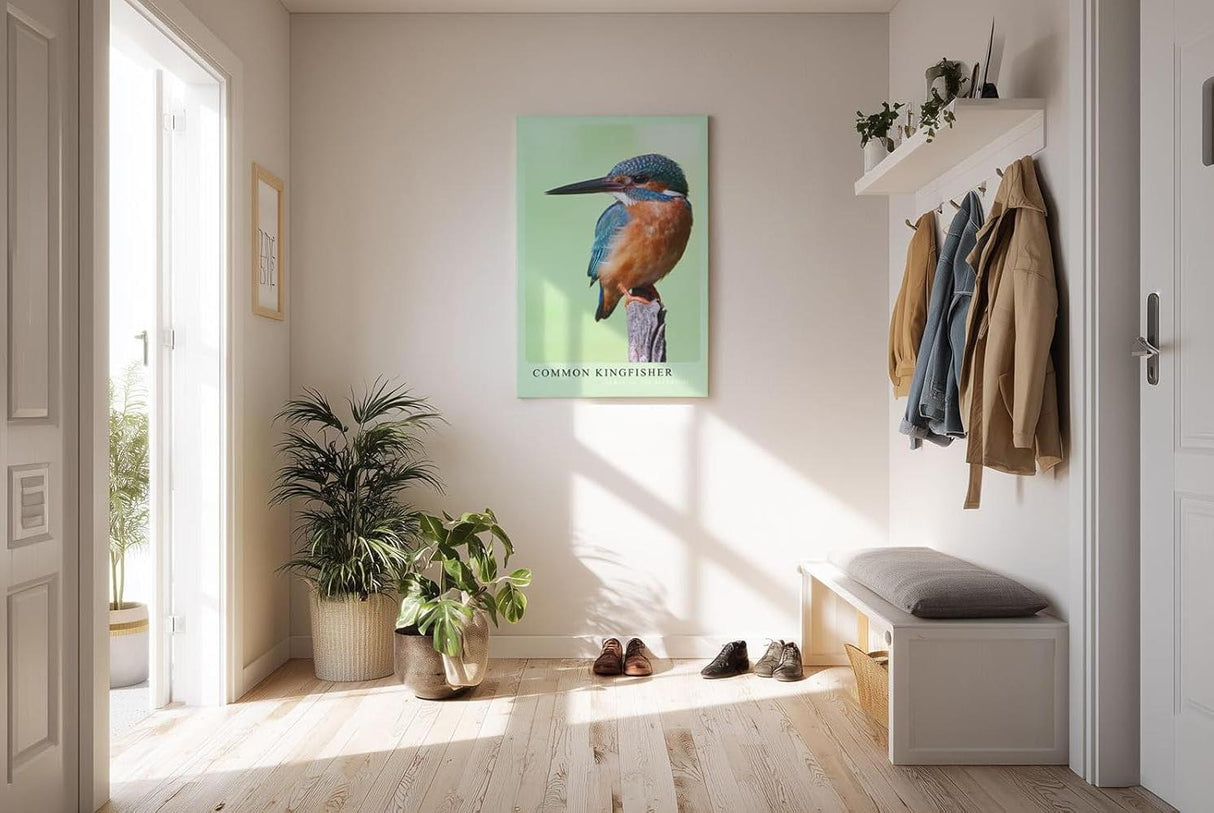 Paul Sinus Kunstdruck 40x60cm Common Kingfisher – Eisvogel auf Ast in brillanter Nahaufnahme mit leuchtenden Farben