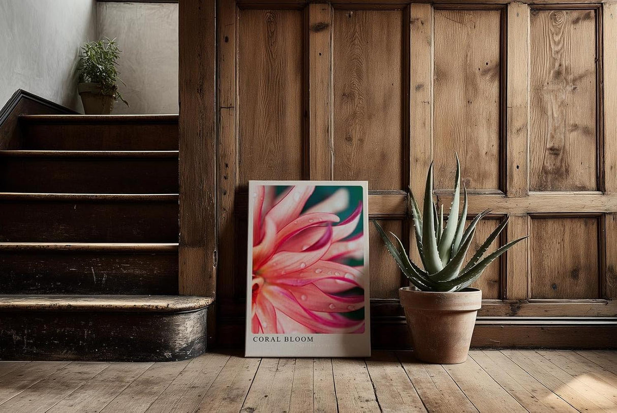 Paul Sinus Kunstdruck 40x60cm Coral Bloom – Blüte in Korallrot mit zarten Tropfen in leuchtender Nahaufnahme