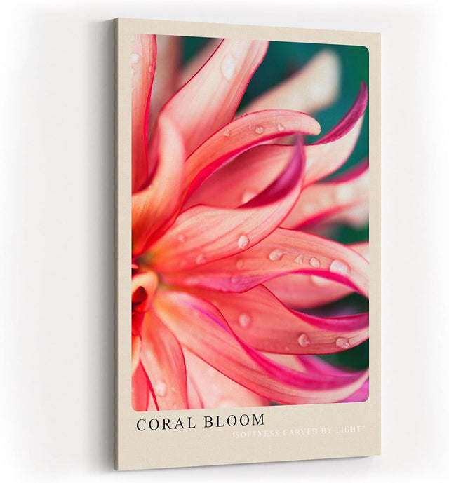 Paul Sinus Kunstdruck 40x60cm Coral Bloom – Blüte in Korallrot mit zarten Tropfen in leuchtender Nahaufnahme