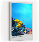 Paul Sinus Kunstdruck 40x60cm Coral Coast bunte Unterwasserwelt mit gelben Fischen und Korallenriff