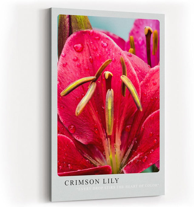 Paul Sinus Kunstdruck 40x60cm Crimson Lily rote Lilienblüte mit Wassertropfen in Nahaufnahme