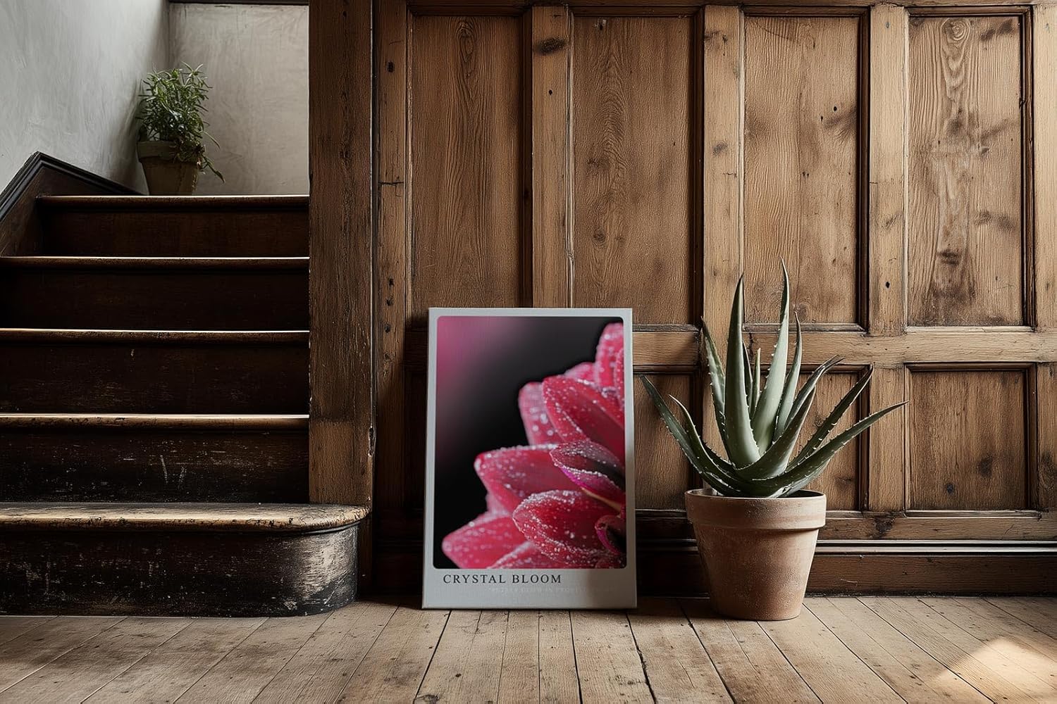 Paul Sinus Kunstdruck 40x60cm Crystal Bloom Rote Blüte mit Tautropfen in Nahaufnahme