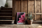 Paul Sinus Kunstdruck 40x60cm Crystal Bloom Rote Blüte mit Tautropfen in Nahaufnahme