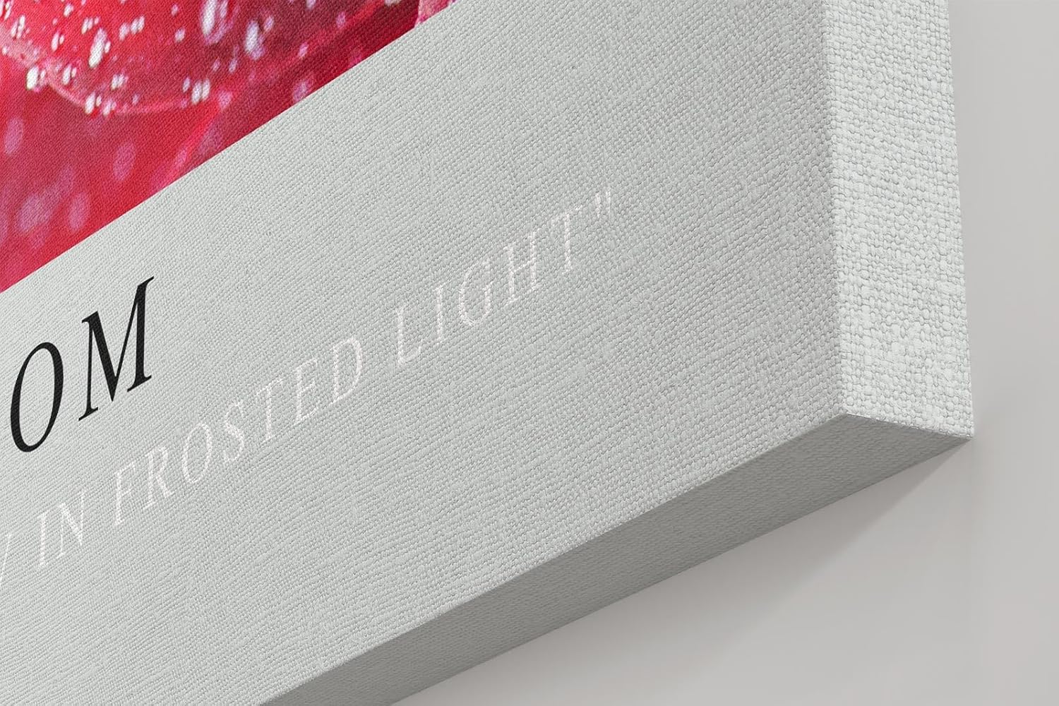 Paul Sinus Kunstdruck 40x60cm Crystal Bloom Rote Blüte mit Tautropfen in Nahaufnahme