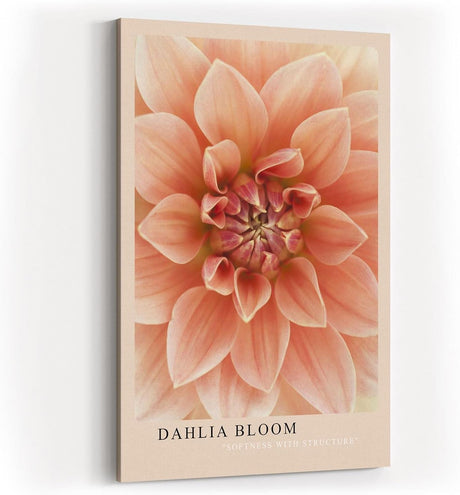 Paul Sinus Kunstdruck 40x60cm Dahlia Bloom Blume Makro Rosa Struktur Natur Pflanze Detail