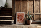Paul Sinus Kunstdruck 40x60cm Dahlienblüte in Nahaufnahme – Stille Schönheit in zarten Farbverläufen eingefangen