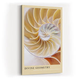 Paul Sinus Kunstdruck 40x60cm Divine Geometry – Nautilus-Muschel in harmonischer Spirale