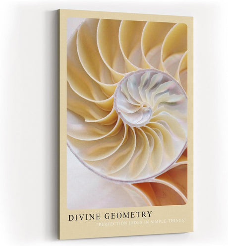 Paul Sinus Kunstdruck 40x60cm Divine Geometry – Nautilus-Muschel in harmonischer Spirale