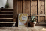 Paul Sinus Kunstdruck 40x60cm Divine Geometry – Nautilus-Muschel in harmonischer Spirale