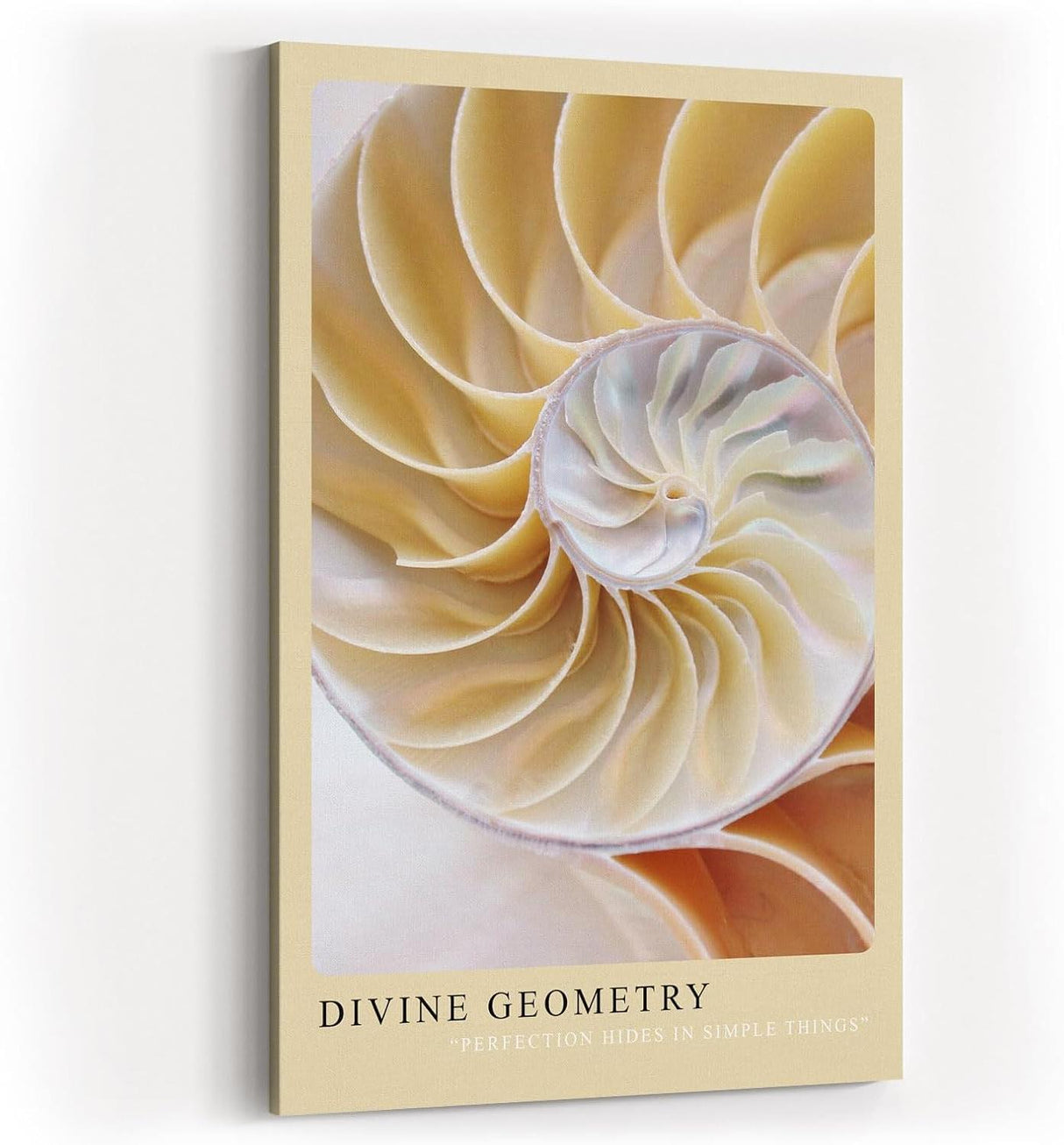 Paul Sinus Kunstdruck 40x60cm Divine Geometry – Nautilus-Muschel in harmonischer Spirale