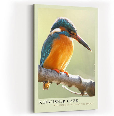Paul Sinus Kunstdruck 40x60cm Eisvogel auf Ast im Licht – Ruhe, Farbe und Konzentration in einem Moment eingefangen