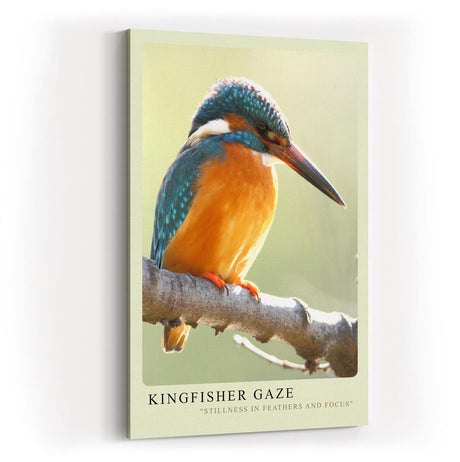 Paul Sinus Kunstdruck 40x60cm Eisvogel auf Ast im Licht – Ruhe, Farbe und Konzentration in einem Moment eingefangen