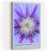 Paul Sinus Kunstdruck 40x60cm Electric Bloom – Nahaufnahme einer lila Blüte mit intensiver Mitte