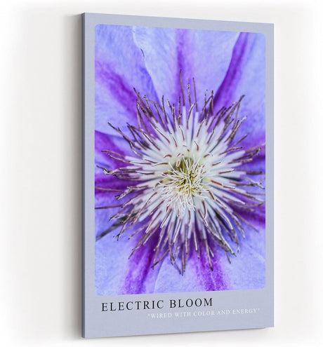 Paul Sinus Kunstdruck 40x60cm Electric Bloom – Nahaufnahme einer lila Blüte mit intensiver Mitte