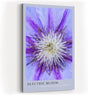 Paul Sinus Kunstdruck 40x60cm Electric Bloom – Nahaufnahme einer lila Blüte mit intensiver Mitte