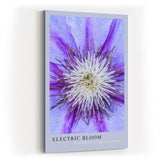 Paul Sinus Kunstdruck 40x60cm Electric Bloom – Nahaufnahme einer lila Blüte mit intensiver Mitte