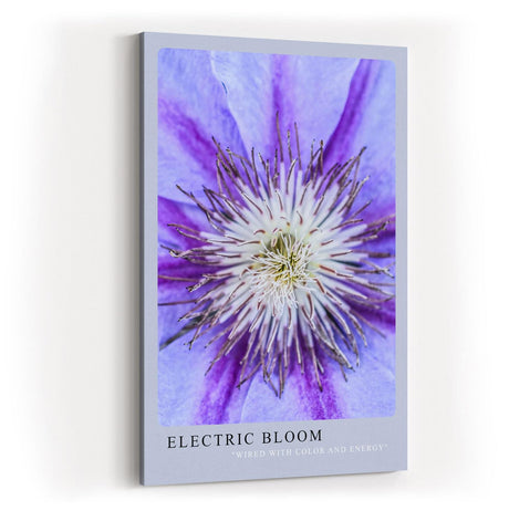 Paul Sinus Kunstdruck 40x60cm Electric Bloom – Nahaufnahme einer lila Blüte mit intensiver Mitte