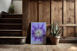 Paul Sinus Kunstdruck 40x60cm Electric Bloom – Nahaufnahme einer lila Blüte mit intensiver Mitte