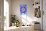 Paul Sinus Kunstdruck 40x60cm Electric Bloom – Nahaufnahme einer lila Blüte mit intensiver Mitte